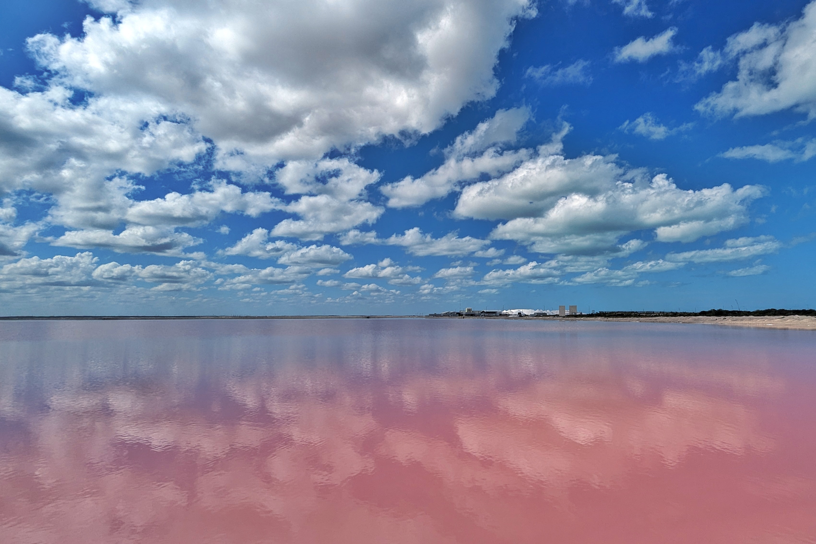 Bassin rose à Las Coloradas